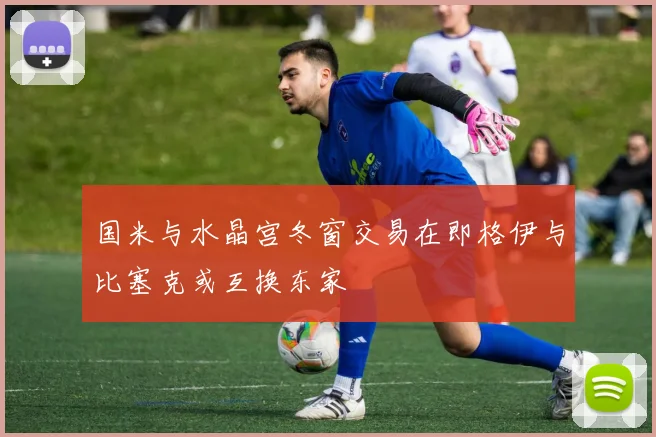 国米与水晶宫冬窗交易在即格伊与比塞克或互换东家