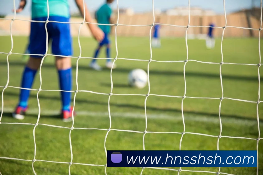 米兰官网注册入口APP 高清赛事图